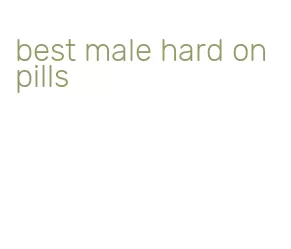 best male hard on pills