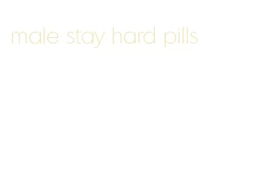 male stay hard pills