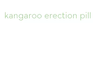 kangaroo erection pill