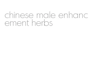 chinese male enhancement herbs