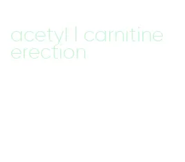 acetyl l carnitine erection