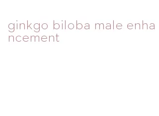 ginkgo biloba male enhancement