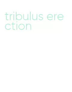 tribulus erection