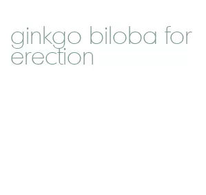 ginkgo biloba for erection